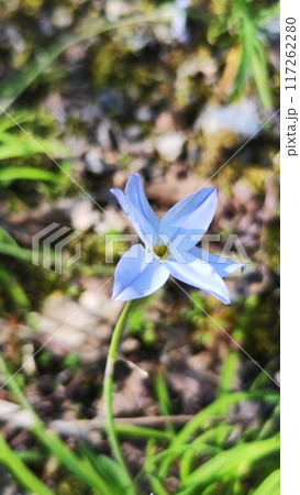 霞間ヶ渓の自然は、あなたの心を包み込む 霞間ヶ渓の自然は、あなたの心を包み込む 117262280