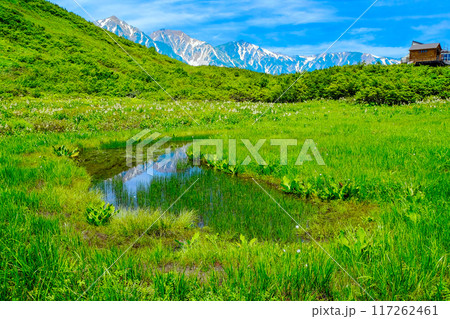 池塘に映る白馬連峰 池塘に映る白馬連峰 117262461