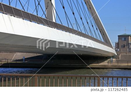 辰巳新橋(東京都江戸川区) 辰巳新橋(東京都江戸川区) 117262485