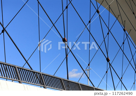 辰巳新橋（東京都江戸川区） 117262490