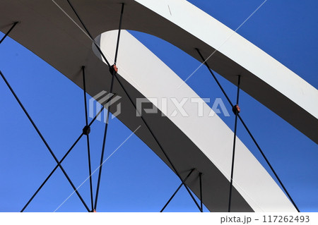 辰巳新橋（東京都江戸川区） 117262493