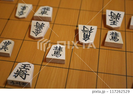 第65期王位戦第3局投了棋譜の盤面 117262529