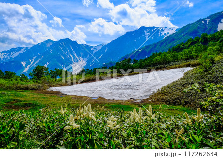夏の展望湿原 117262634