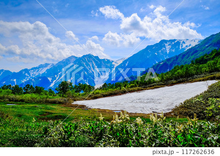 雪渓と白馬三山 雪渓と白馬三山 117262636