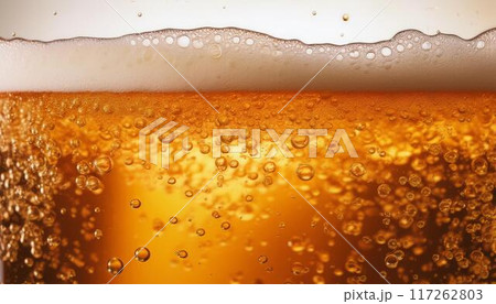 グラスに注がれた生ビールのイメージ 117262803
