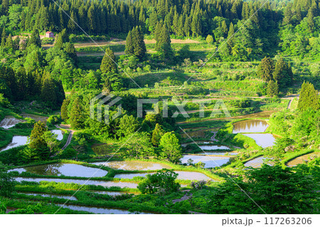 田園風景 星峠の棚田 田園風景 星峠の棚田 117263206