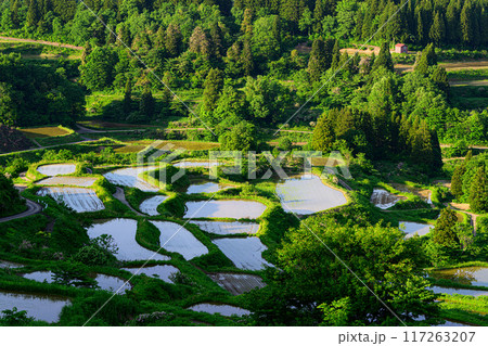 田園風景 星峠の棚田 田園風景 星峠の棚田 117263207
