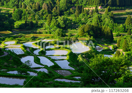 田園風景　星峠の棚田 117263208