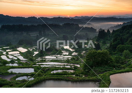 田園風景 星峠の棚田 田園風景 星峠の棚田 117263215