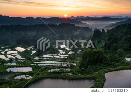 田園風景　星峠の棚田 117263219