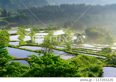 田園風景 星峠の棚田 田園風景 星峠の棚田 117263226