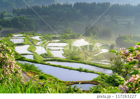田園風景　星峠の棚田 117263227