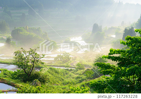 田園風景　星峠の棚田 117263228
