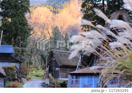 かやぶき屋根とすすき 117263291
