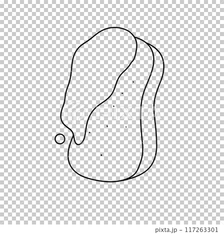 A white and black drawing of a potato 117263301
