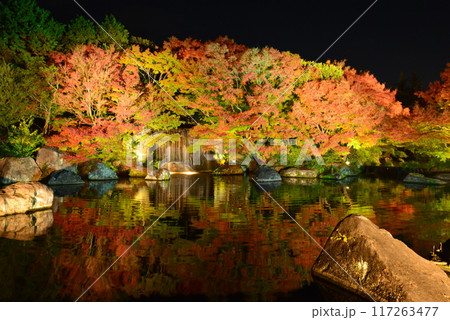 好古園の紅葉ライトアップ(兵庫県姫路市) 好古園の紅葉ライトアップ(兵庫県姫路市) 117263477