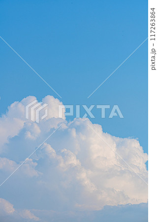 夏の青空と白い雲 夏の青空と白い雲 117263864
