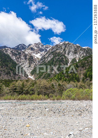 初夏の北アルプス登山　上高地から梓川左岸道を歩く　明神岳 117263888