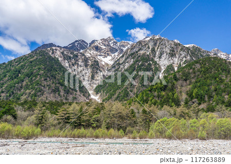 初夏の北アルプス登山　上高地から梓川左岸道を歩く　明神岳 117263889