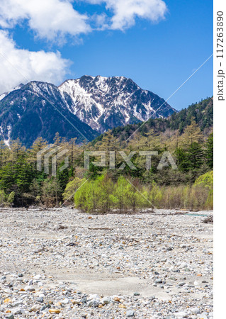 初夏の北アルプス登山　上高地から梓川左岸道を歩く　六百山 117263890