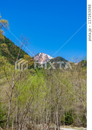 初夏の北アルプス登山　上高地から梓川左岸道を歩く　西岳 117263898