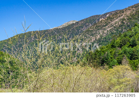初夏の北アルプス登山　上高地から梓川左岸道を歩く　常念岳の山頂 117263905