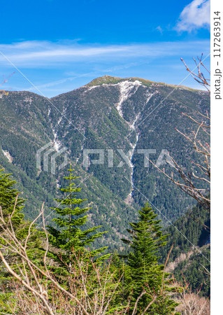 初夏の北アルプス登山　槍沢登山道を歩く　ババ平から見る蝶槍 117263914