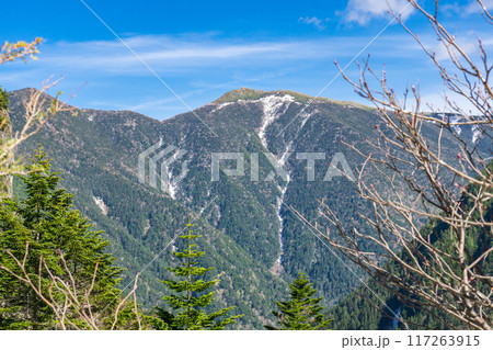 初夏の北アルプス登山 槍沢登山道を歩く ババ平から見る蝶槍 初夏の北アルプス登山 槍沢登山道を歩く ババ平から見る蝶槍 117263915