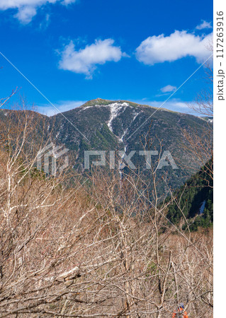 初夏の北アルプス登山　槍沢登山道を歩く　ババ平から見る蝶槍 117263916