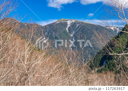 初夏の北アルプス登山 槍沢登山道を歩く ババ平から見る蝶槍 初夏の北アルプス登山 槍沢登山道を歩く ババ平から見る蝶槍 117263917