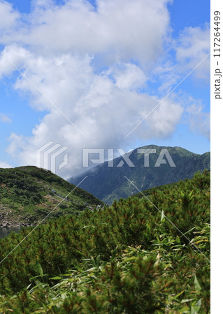 立山連峰からの景色 117264499