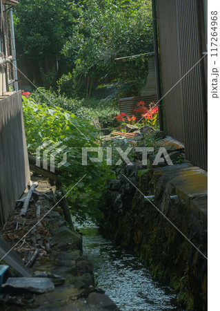 滋賀県長浜市の「隠れ里」と称される菅浦集落を撮影 滋賀県長浜市の「隠れ里」と称される菅浦集落を撮影 117264968