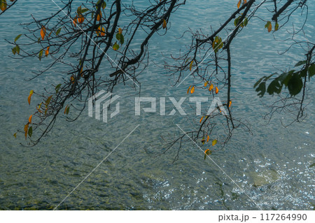 滋賀県長浜市の「隠れ里」と称される菅浦集落を撮影 滋賀県長浜市の「隠れ里」と称される菅浦集落を撮影 117264990