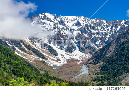初夏の北アルプス登山　上高地から梓川左岸道を歩く　小梨平から見上げる奥穂高岳 117265005