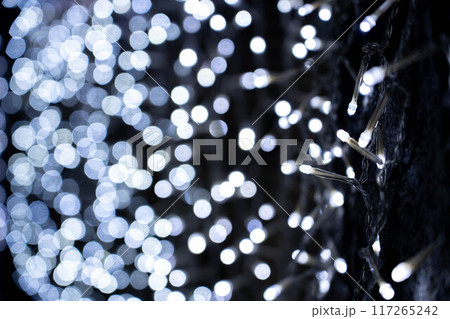 光の粒～イルミネーション～ 117265242