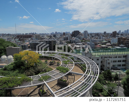 夏、8月、特徴的な屋上庭園と都市の住宅地 117265751