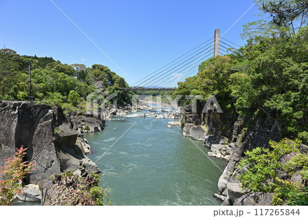 新曽木大橋 117265844