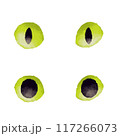 水彩風な猫の目のイラスト 117266073