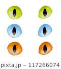 水彩風な猫の目のイラスト 117266074