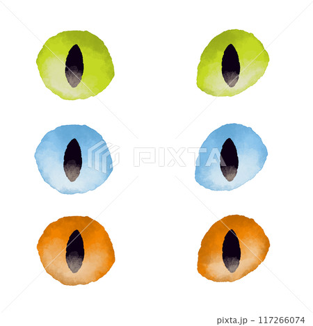 水彩風な猫の目のイラスト 117266074
