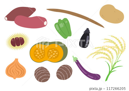 秋の野菜イラストセット 秋の野菜イラストセット 117266205