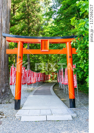 滋賀県犬上郡多賀町 多賀大社(長寿祈願) 金咲稲荷神社(鳥居) 滋賀県犬上郡多賀町 多賀大社(長寿祈願) 金咲稲荷神社(鳥居) 117266257