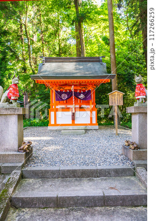 滋賀県犬上郡多賀町　多賀大社（長寿祈願）　金咲稲荷神社（社殿） 117266259