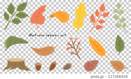 Cute hand drawn illustration set of autumn leaves, acorns and stumps Cute hand drawn illustration set of autumn leaves, acorns and stumps 117266420