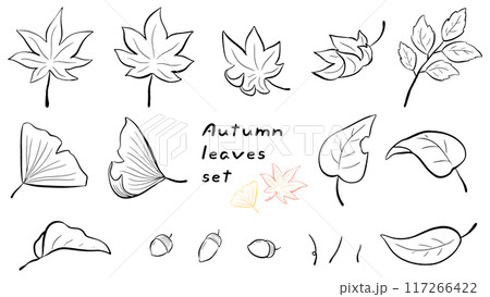 秋の葉っぱ、モミジやイチョウ、シンプルな手描きの線画イラストセット 117266422