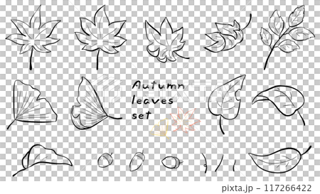 秋葉、楓樹和銀杏葉,簡單的手繪線條畫插圖集 秋葉、楓樹和銀杏葉,簡單的手繪線條畫插圖集 117266422