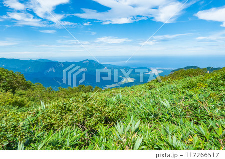 夏の雨飾山登山:笹平から糸魚川方面の眺め 夏の雨飾山登山:笹平から糸魚川方面の眺め 117266517