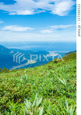 夏の雨飾山登山：笹平から糸魚川方面の眺め 117266522