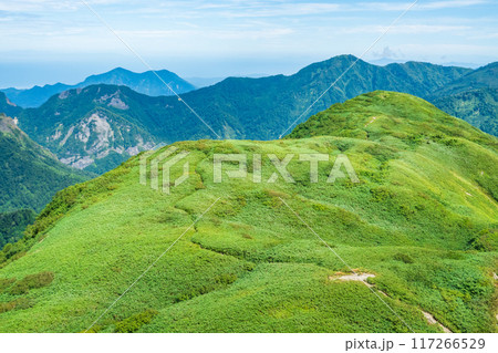 夏の雨飾山登山:山頂から笹平の眺め 夏の雨飾山登山:山頂から笹平の眺め 117266529