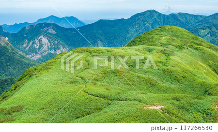 夏の雨飾山登山:山頂から笹平の眺め 夏の雨飾山登山:山頂から笹平の眺め 117266530